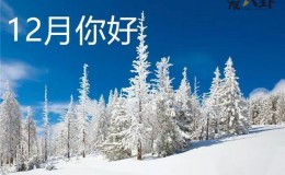 【博狗扑克】12月你好的句子, 十二月问候图片带文字