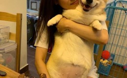 【博狗扑克】张致恒塔房是怎么回事?其未婚妻如何回应!
