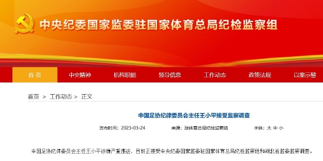 官方：中国足协纪律委员会主任王小平涉嫌严重违法
