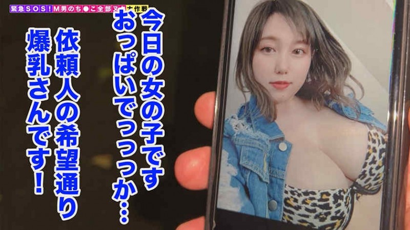 【博狗扑克】261ARA-552