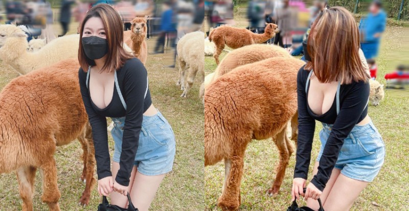 【博狗扑克】草泥馬真的好大！短髮俏女孩「Judy邱比特」爆乳追羊駝